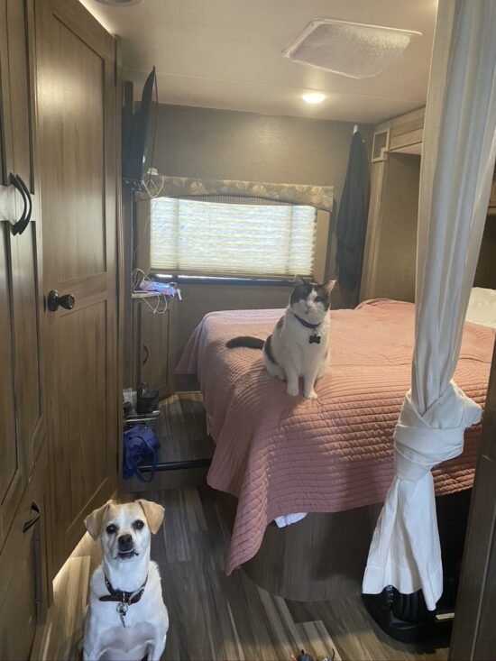 Behr vs. Beyond Paint which is the best RV remodeling paint