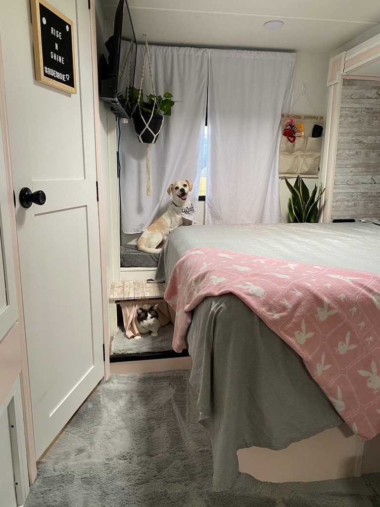 Kiko and Cat being featured in the renovated RV bedroom. 